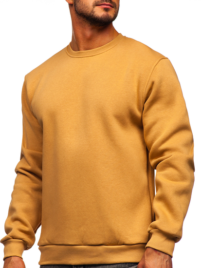 Sweat-shirt brun sans capuche pour homme Bolf 2001  
