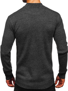 Homme Col roulé basique Graphite Bolf S8727