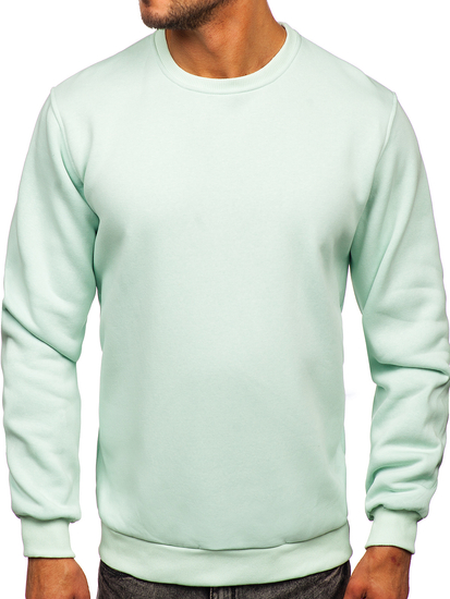 Sweat-shirt menthe clair sans capuche pour homme Bolf 2001  